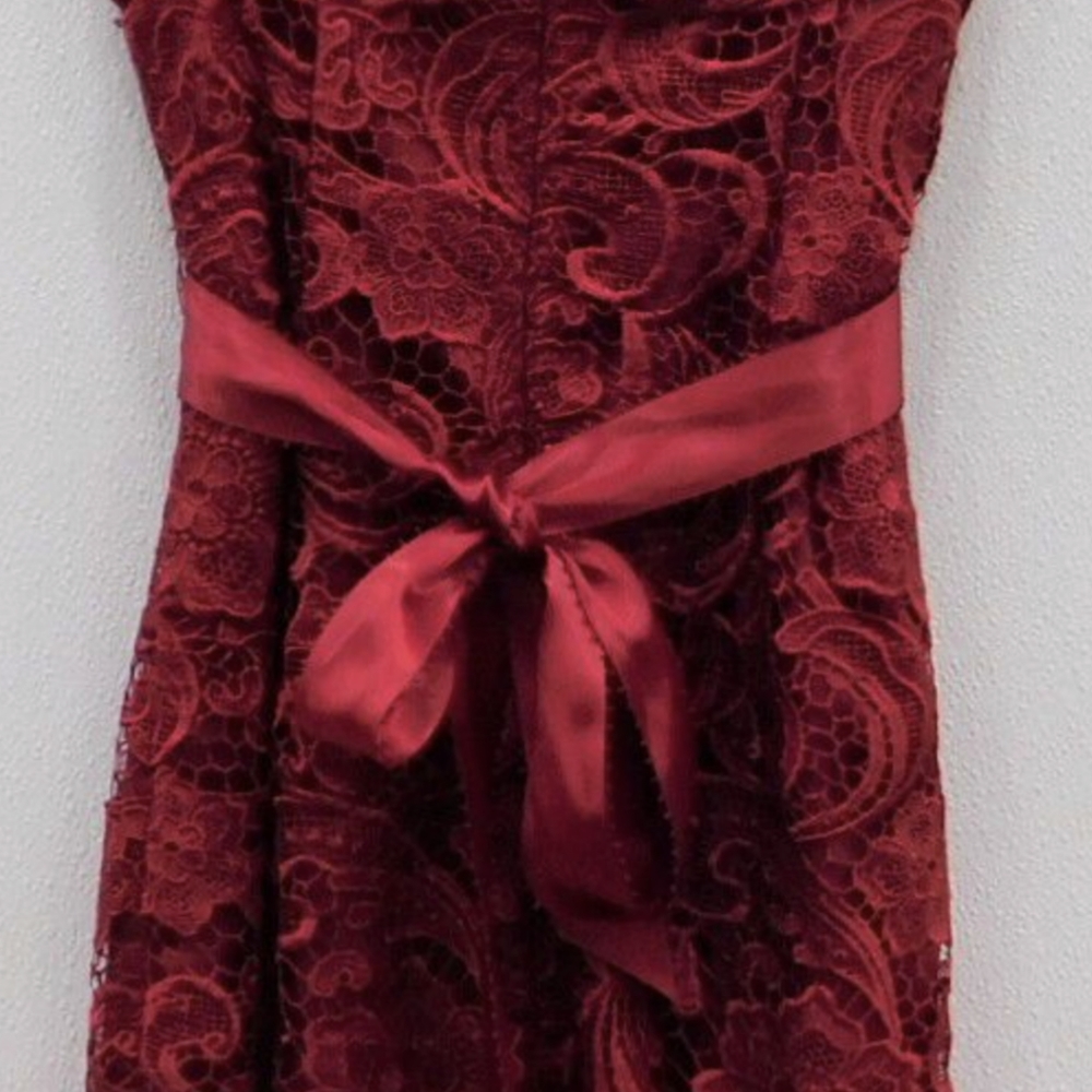 Adrianna Papell Rose Red Lace Illusion Party Dress XS - Picture 6 of 13